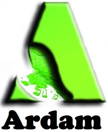 Fields of Work of Ardam Global Express